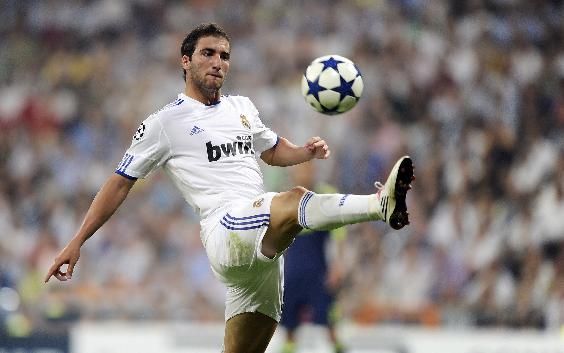 体育新闻中心权威解读专题，体育新闻!